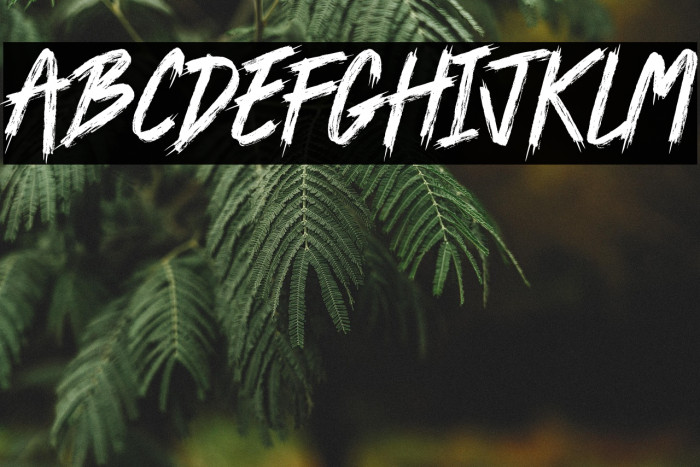 The Others Example 2