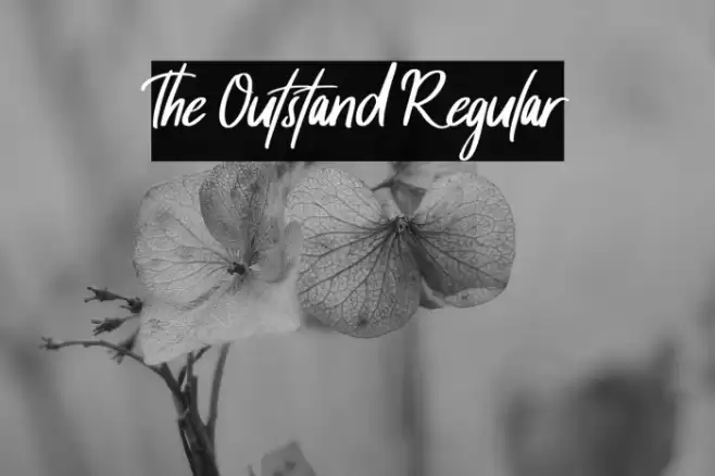 The Outstand Regular خط examples