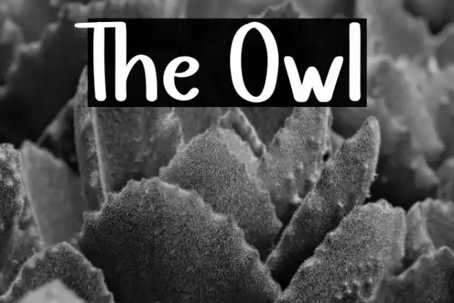 The Owl Font examples