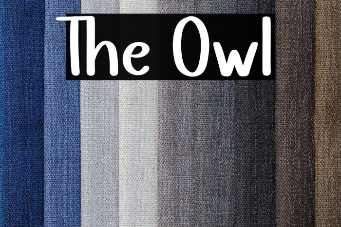 The Owl Example 2