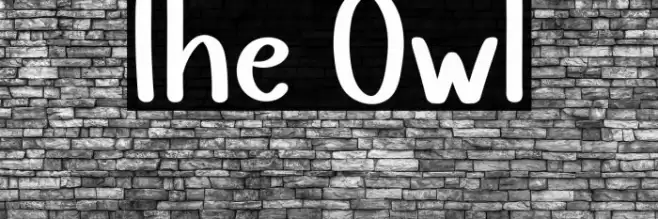 The Owl Font examples