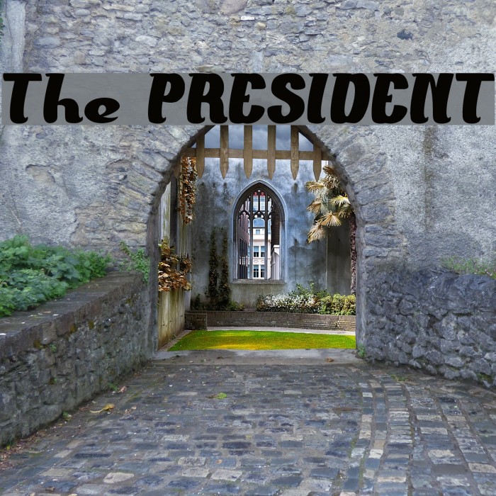 The PRESIDENT Font examples