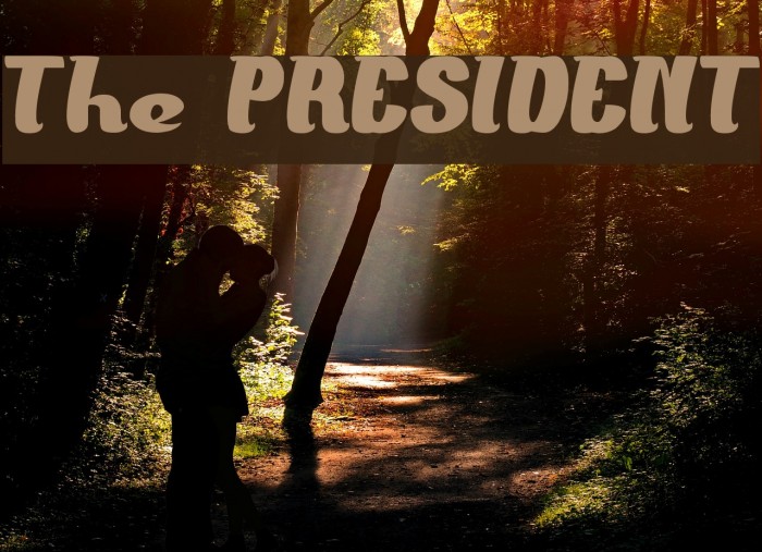 The PRESIDENT Font examples