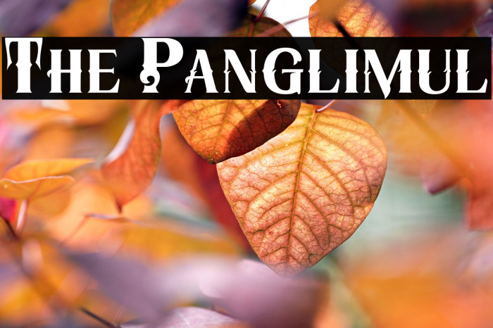 The Panglimul Example 2