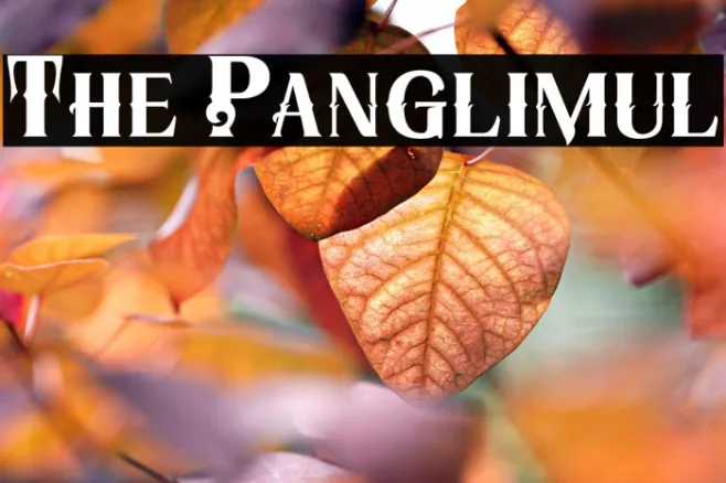 The Panglimul Example 2