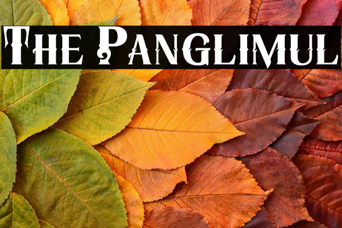 The Panglimul Example 3