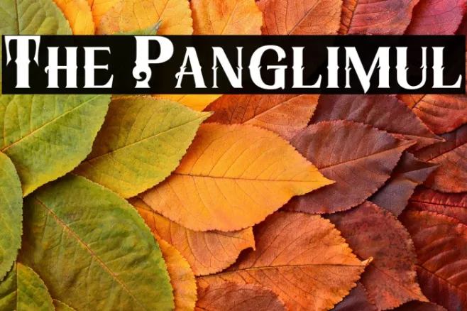The Panglimul Example 3