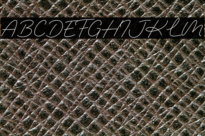 The Panorama Example 1