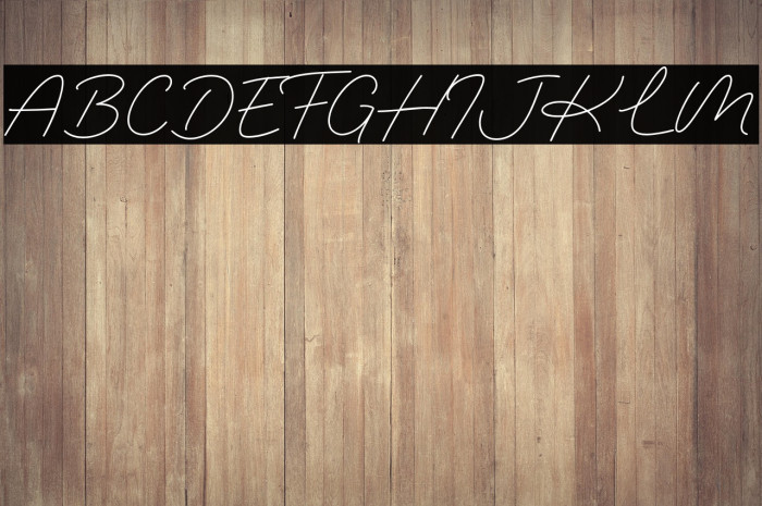 The Panorama Example 2