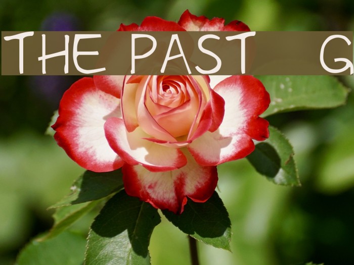 The Past__G Font examples