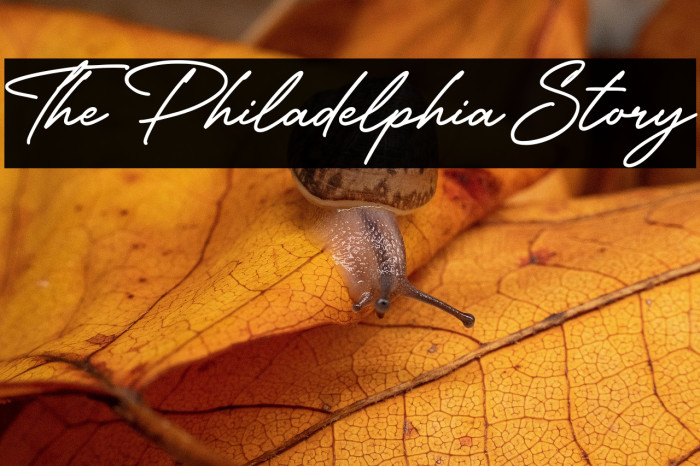 The Philadelphia Story Example 2