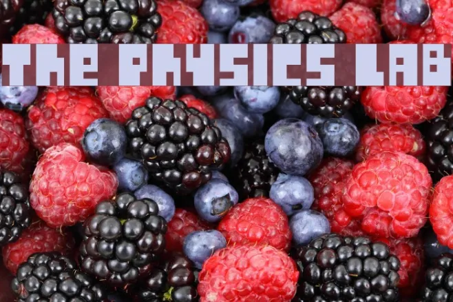 The Physics Lab Example 2