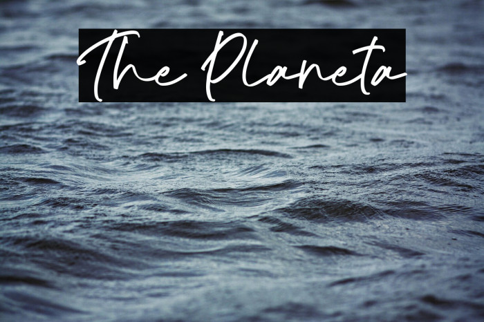 The Planeta Example 2