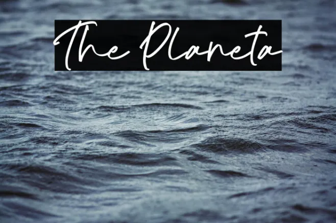 The Planeta Example 2