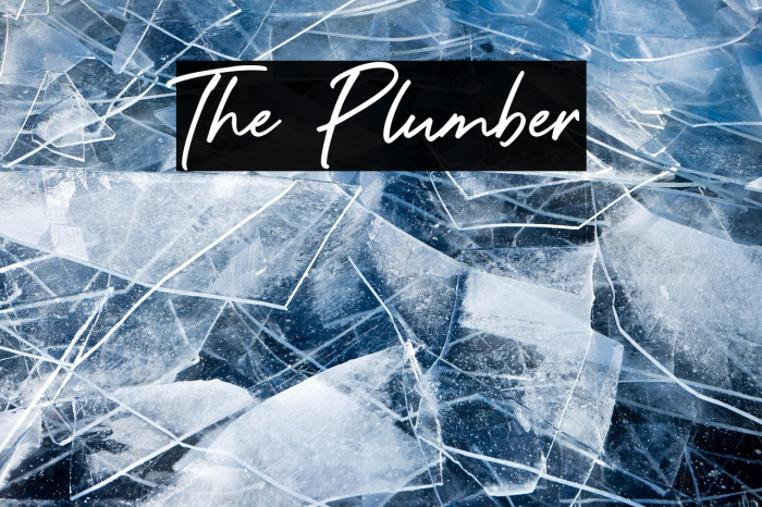 The Plumber Example 1