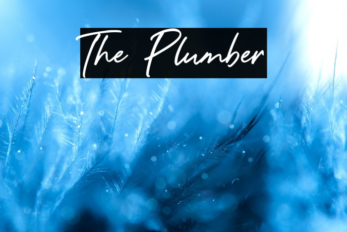 The Plumber Example 2