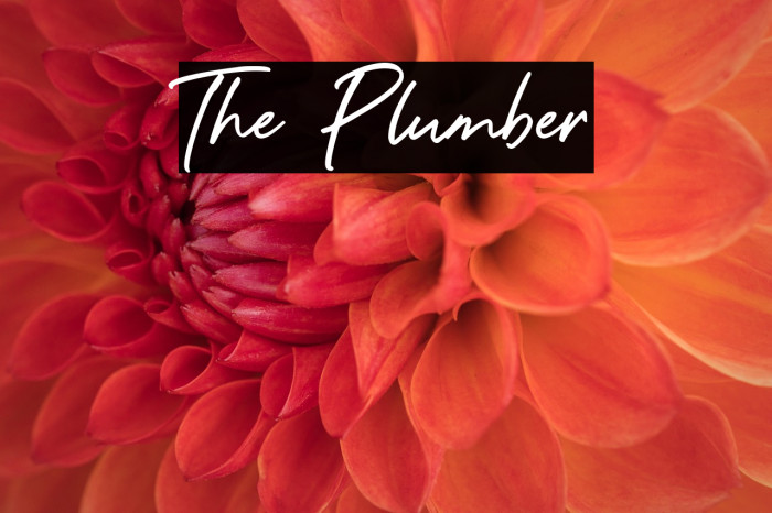 The Plumber Example 3