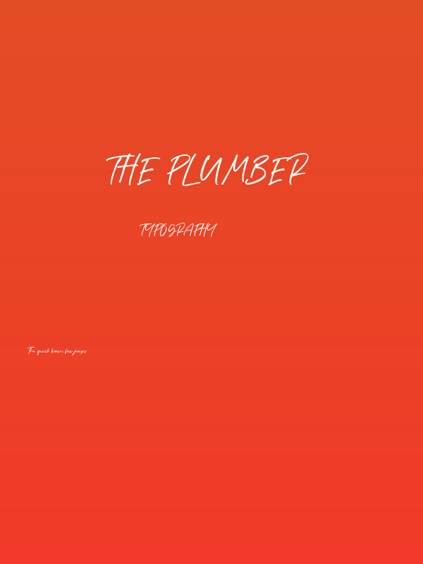 The Plumber Poster