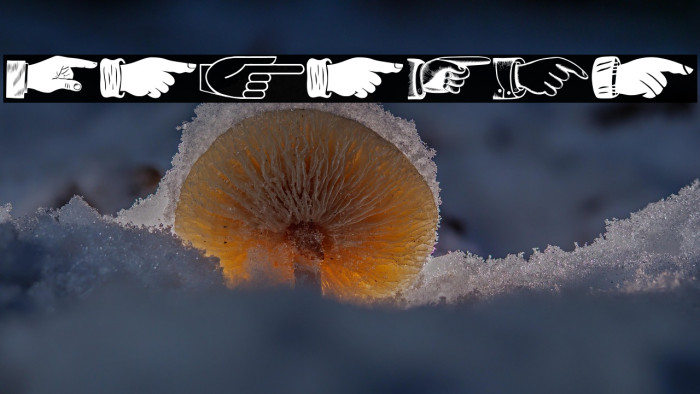 The Point Regular Example 1