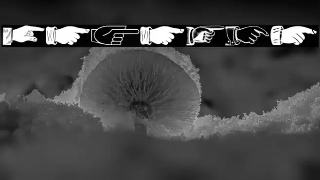 The Point Regular Font examples