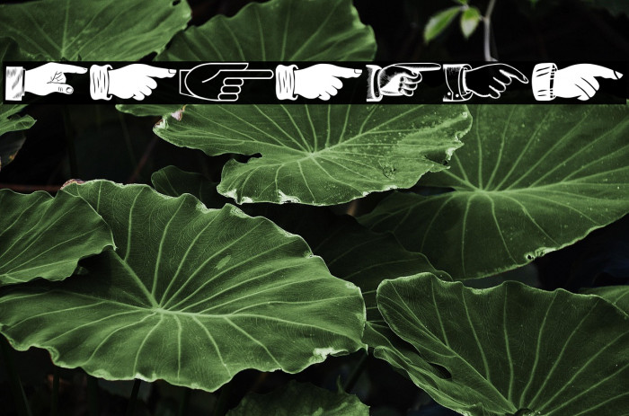 The Point Regular Example 2