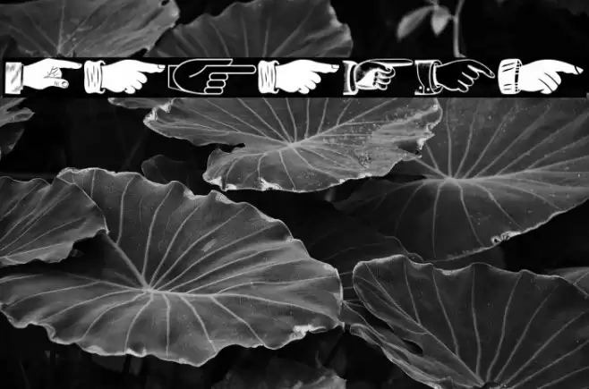 The Point Regular Font examples