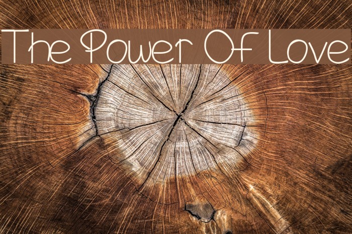 The Power Of Love Font examples