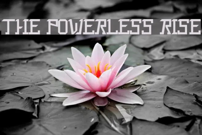 The Powerless Rise Example 2