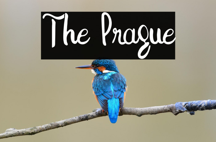 The Prague Example 2