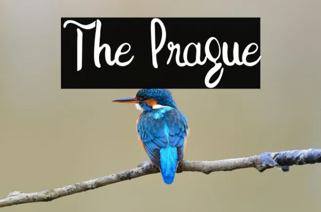 The Prague Example 2