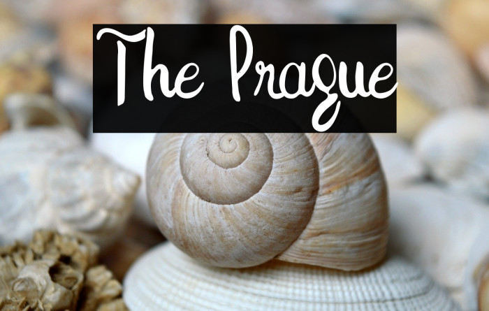 The Prague Example 3