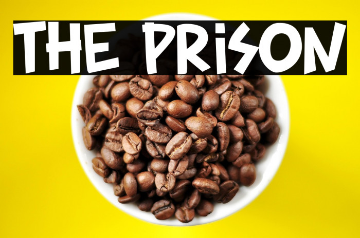 The Prison Example 1