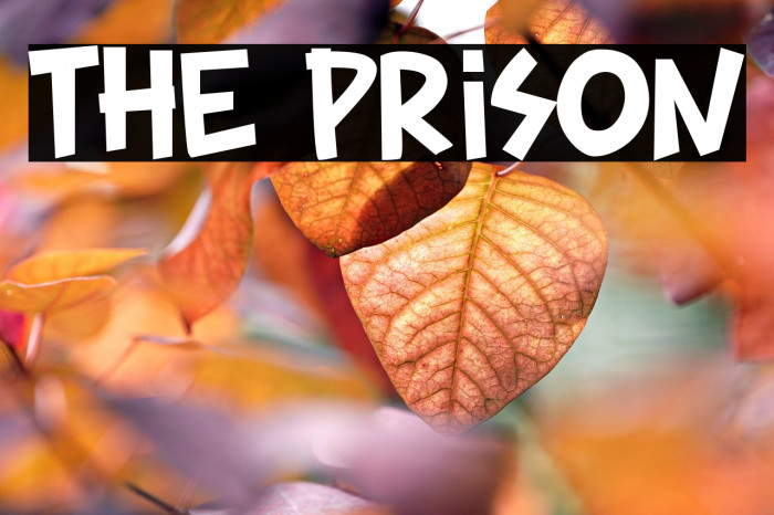 The Prison Example 3