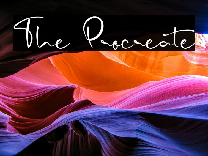 The Procreate Example 1