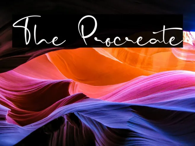 The Procreate Example 1