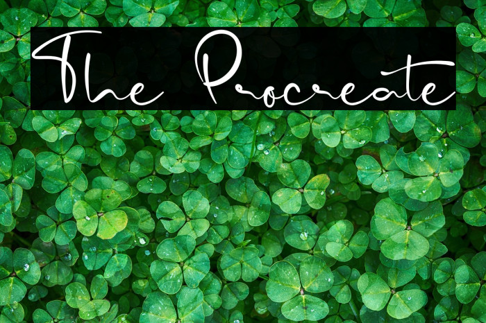 The Procreate Example 2