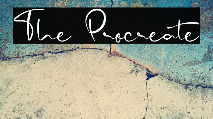 The Procreate Example 3