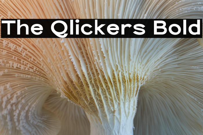 The Qlickers Bold Example 1