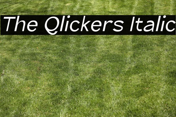 The Qlickers Italic Example 1