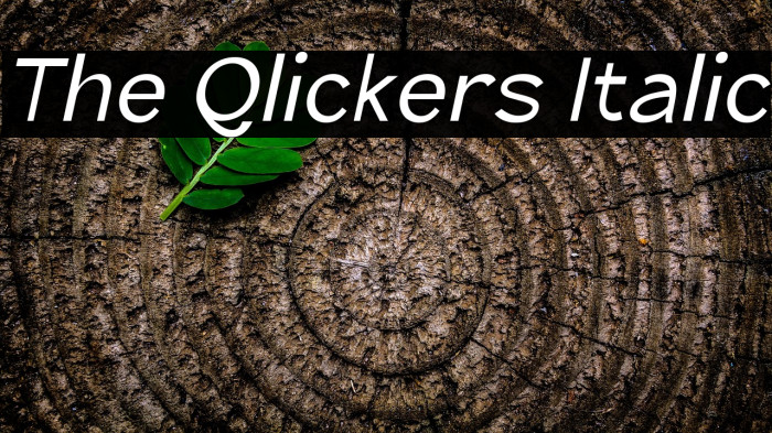 The Qlickers Italic Example 3