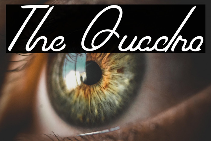 The Quadro Example 3