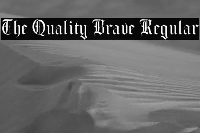 The Quality Brave Regular Polices examples