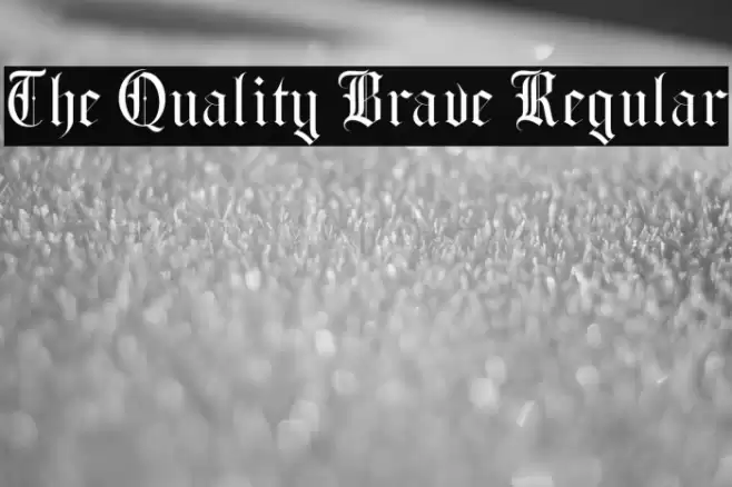 The Quality Brave Regular Polices examples