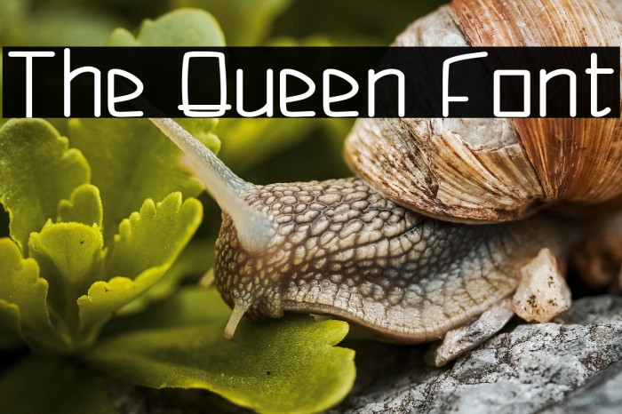 The Queen Font Example 2