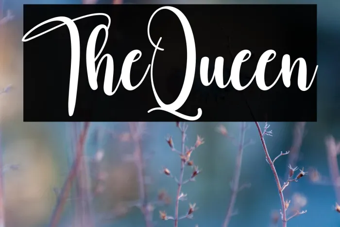 The Queen Example 1