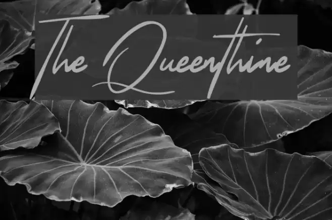 The Queenthine Font examples