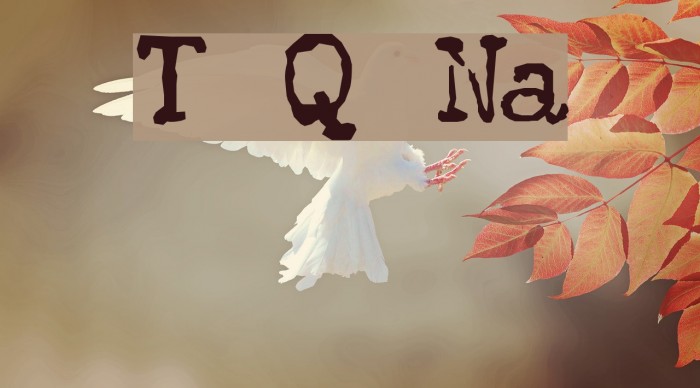 The Quest Normal Schriftart examples