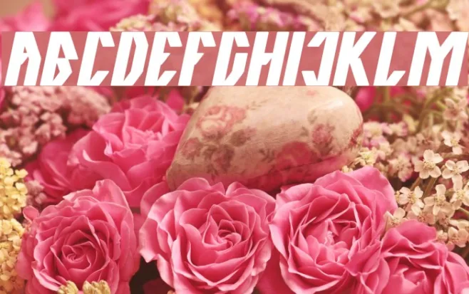 The Quick Bold Italic Example 3