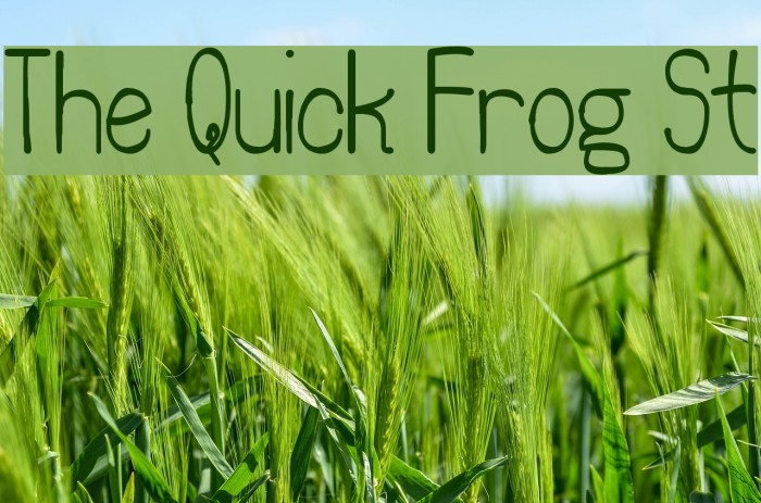 The Quick Frog St Font examples