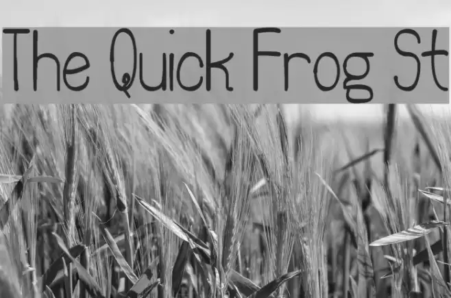 The Quick Frog St Schriftart examples